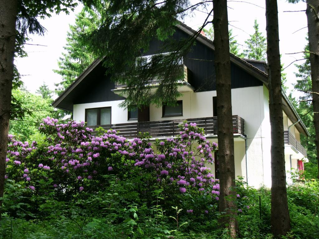 Haus Hirschmann Hotel Goslar Exterior photo